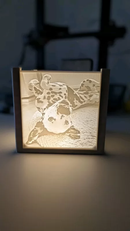 Trabajo realizado por Kreoma3D